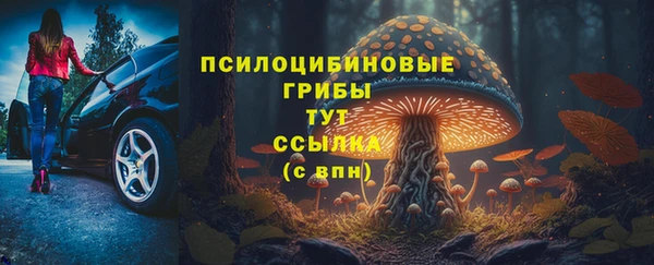 хмурый Нефтегорск