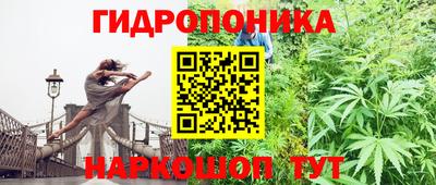 кокс Абинск
