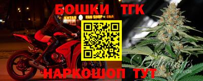 индика Мариинск