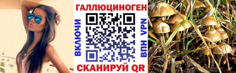 Псилоцибиновые грибы MAGIC MUSHROOMS  Тольятти 