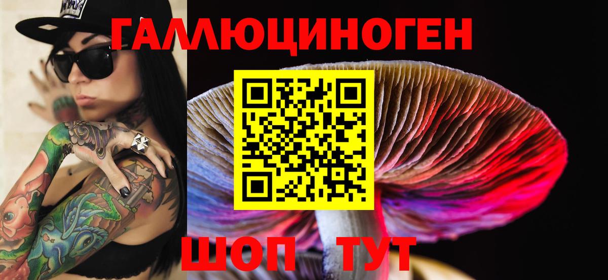 Псилоцибиновые грибы прущие грибы  закладки  Тольятти  Вход с VPN 
