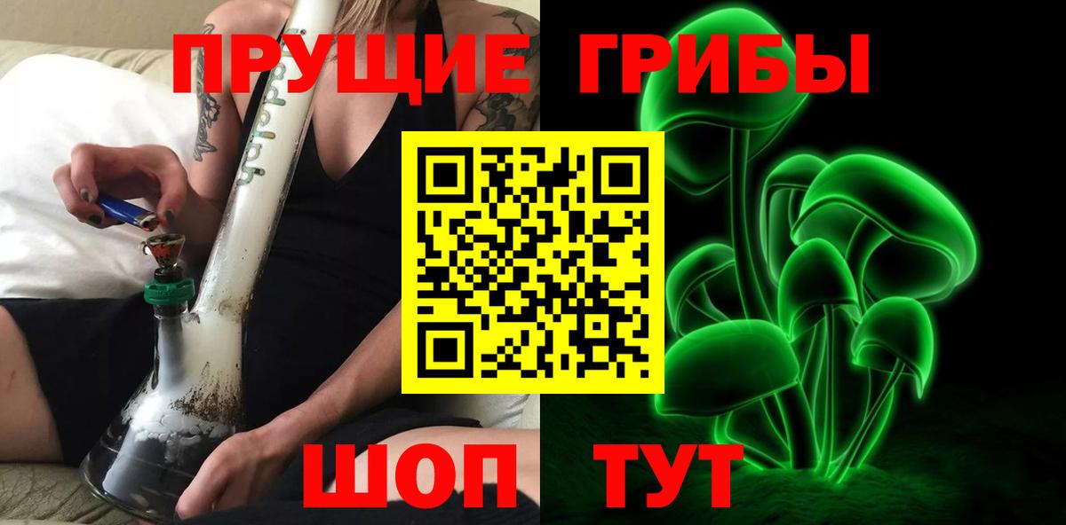Галлюциногенные грибы Psilocybe Тольятти